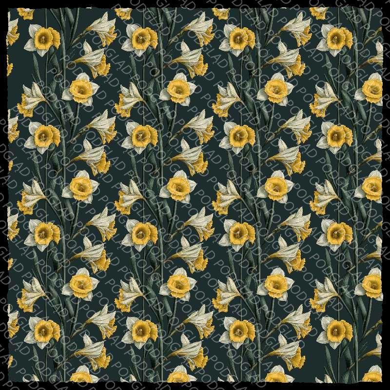 Daffodil Flower